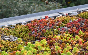 the cost of Dunston green roof installation