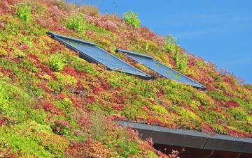 Dunston living roof systems