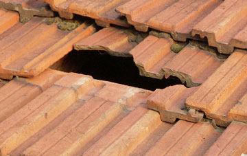 roof repair Dunston